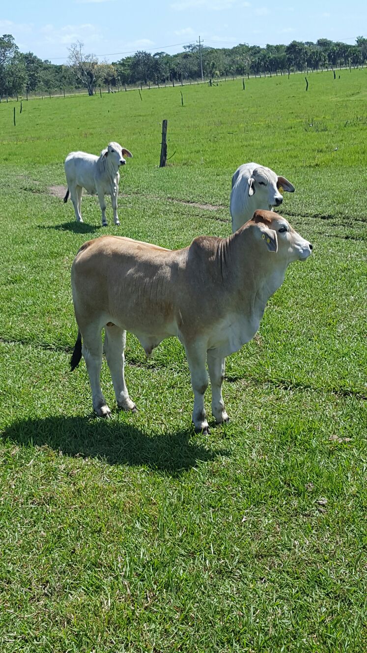 WhatsApp Image 2018-02-25 at 11.46.24 AM